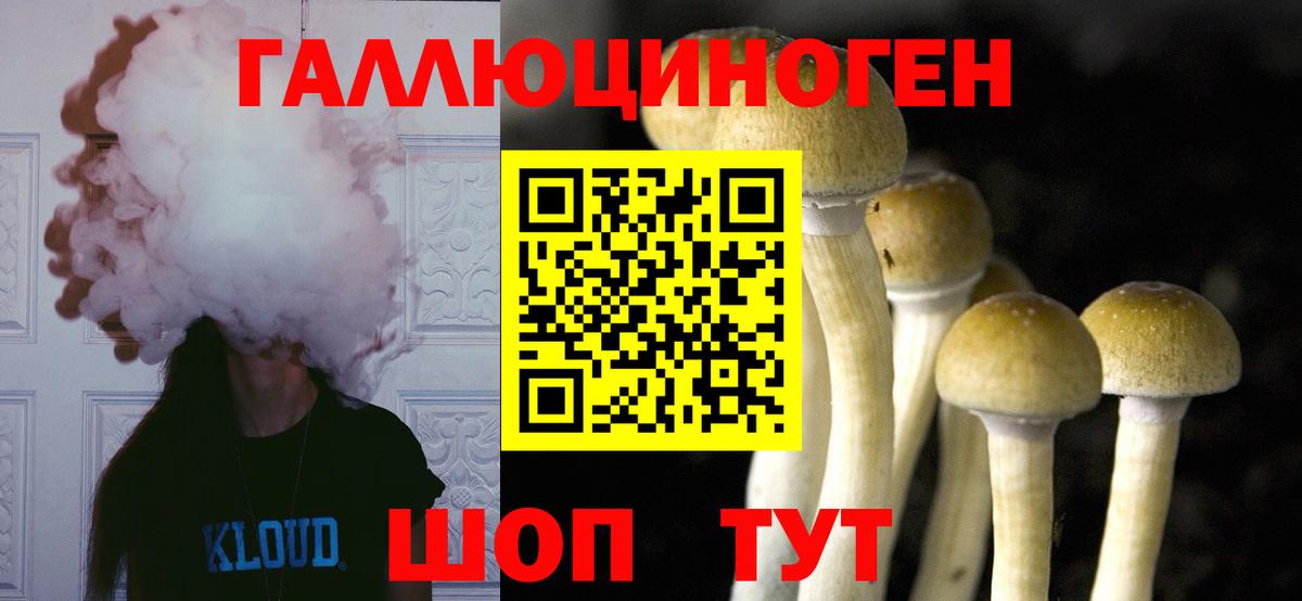 Касимов  Псилоцибиновые грибы Psilocybine cubensis  Псилоцибиновые грибы GOLDEN TEACHER  Вход с VPN 